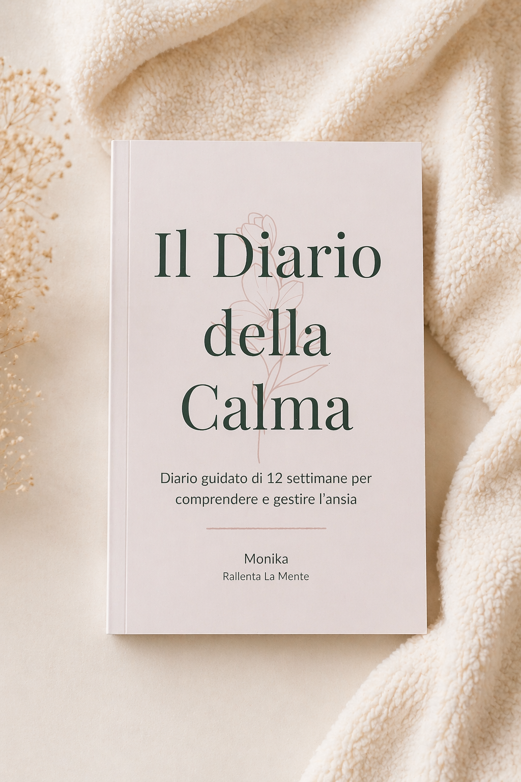 La copertina del Diario della Calma